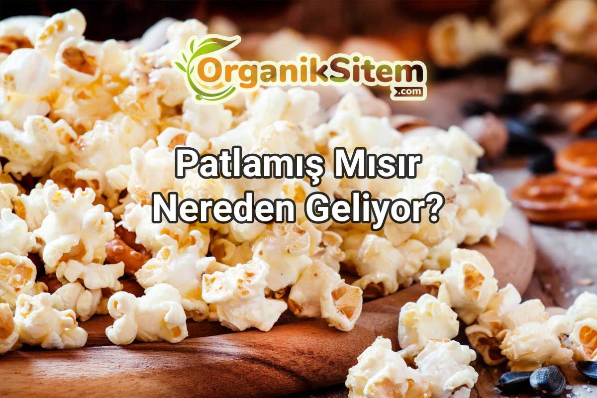 Patlamış Mısır Nereden Geliyor?