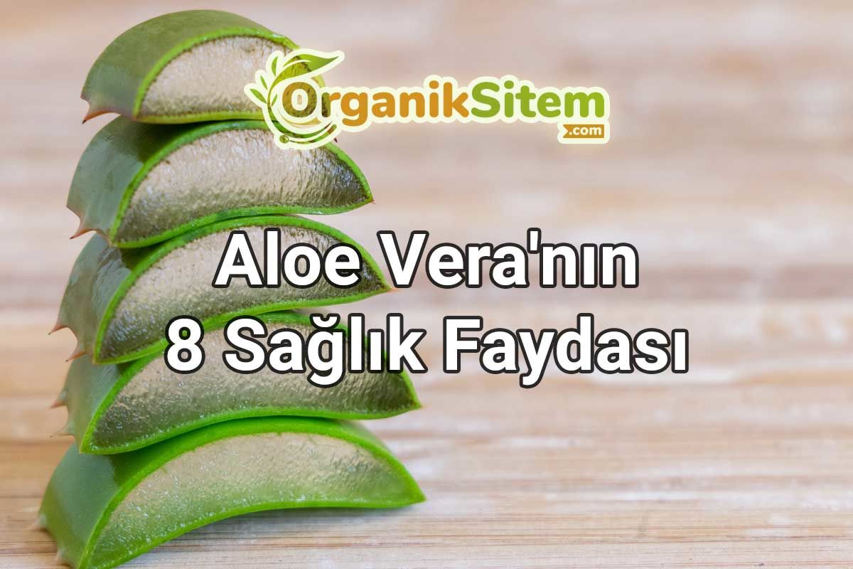 Aloe Vera'nın 8 Sağlık Faydası