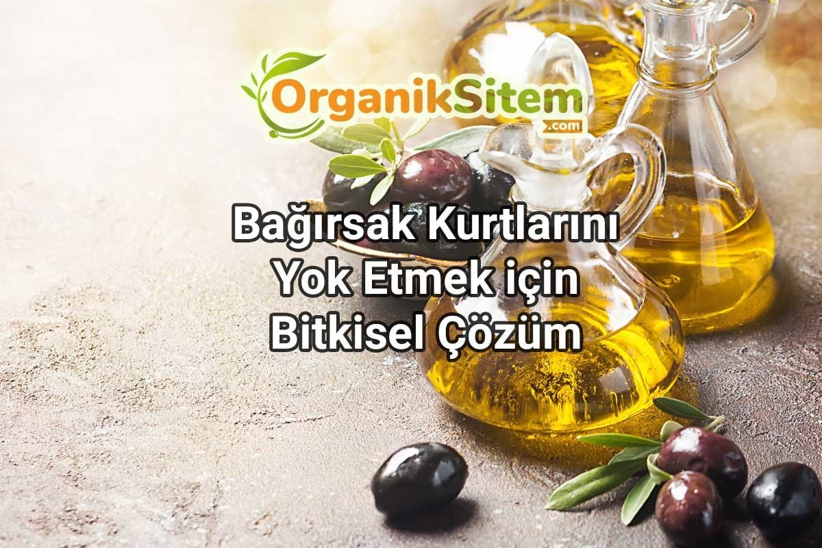 Bağırsak Kurtlarını Yok Etmek için Bitkisel Çözüm