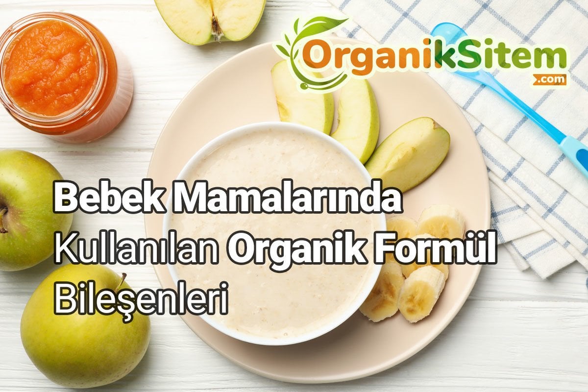 Bebek Mamalarında Kullanılan Organik Formül Bileşenleri