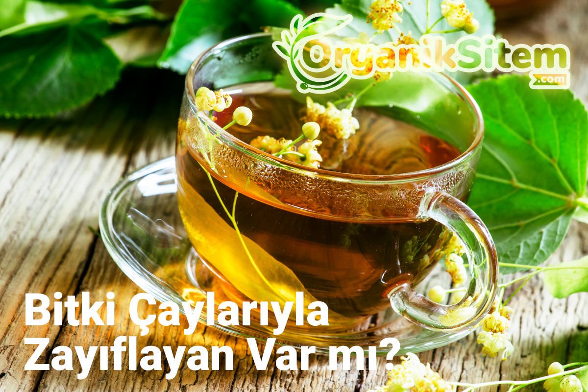 Bitki Çaylarıyla Zayıflayan Var mı?