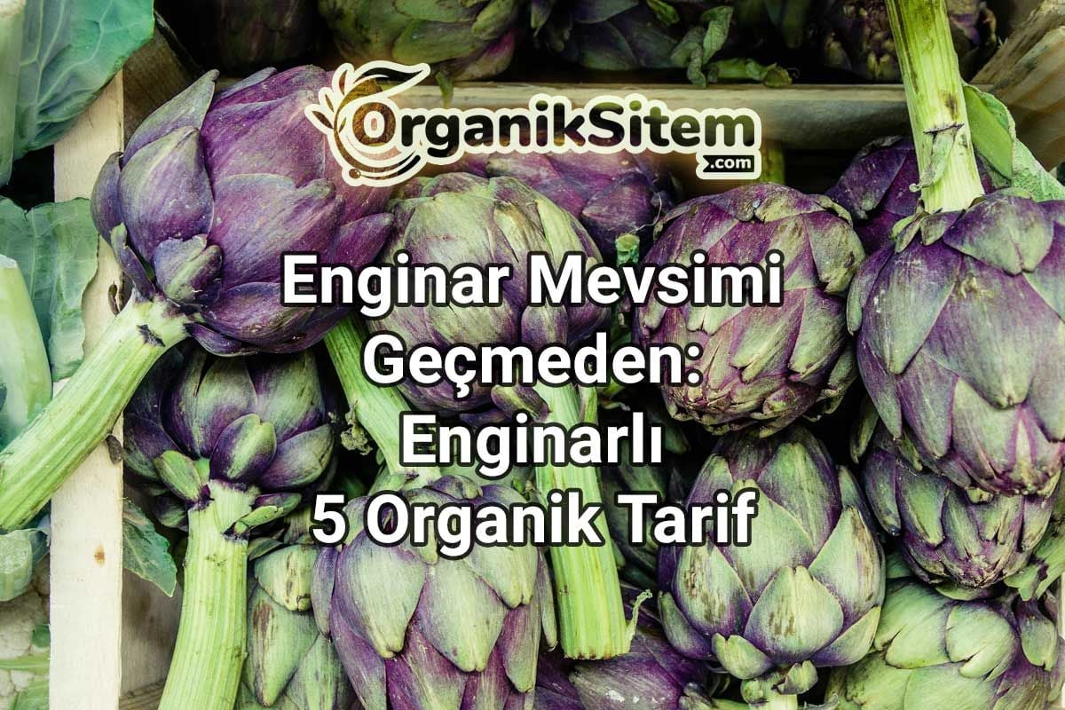 Enginar Mevsimi Geçmeden: Enginarlı 5 Organik Tarif