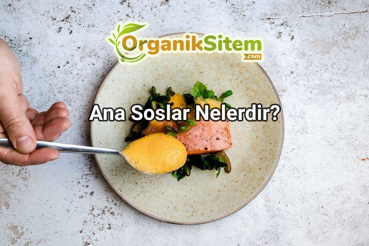Ana Soslar Nelerdir?