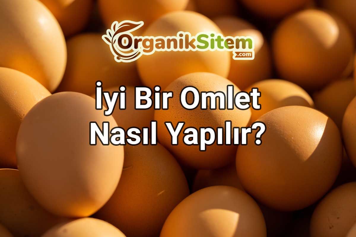 İyi Bir Omlet Nasıl Yapılır?
