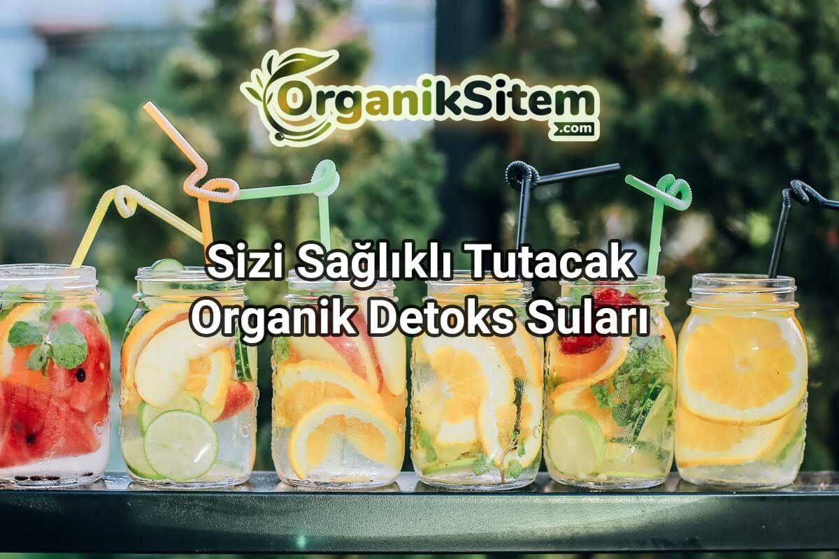 Sizi Sağlıklı Tutacak Organik Detoks Suları