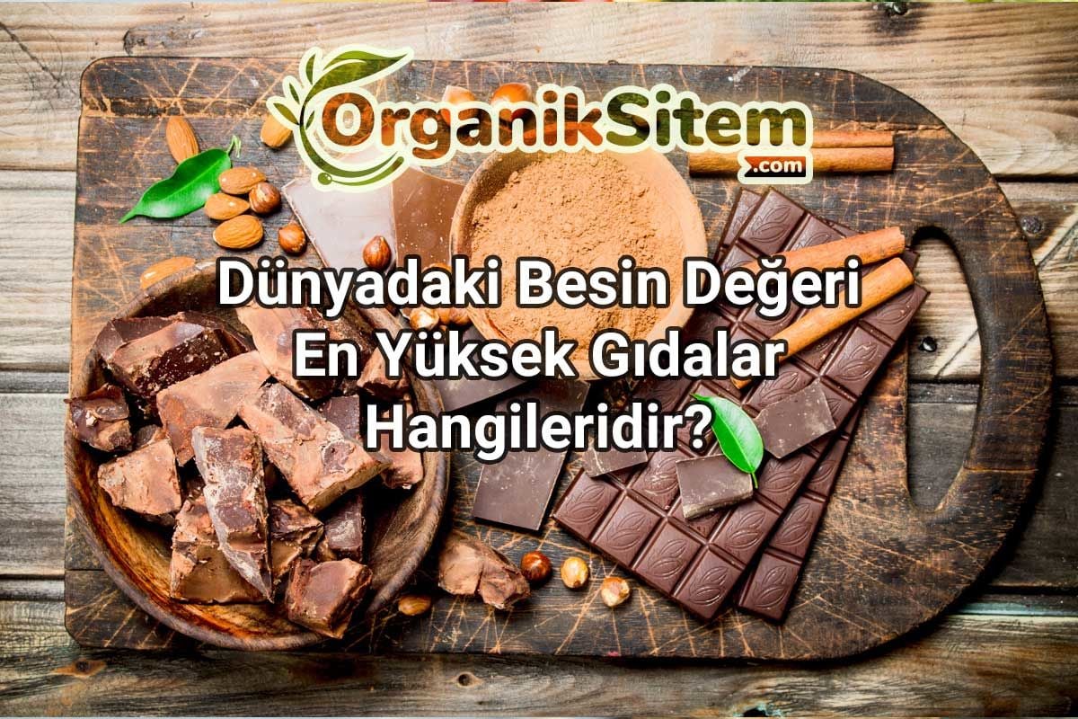 Dünyadaki Besin Değeri En Yüksek Gıdalar Hangileridir?