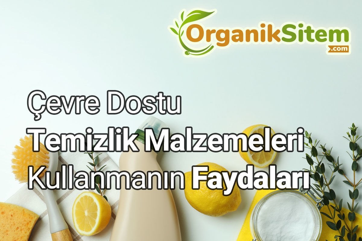 Çevre Dostu Temizlik Malzemeleri Kullanmanın Faydaları