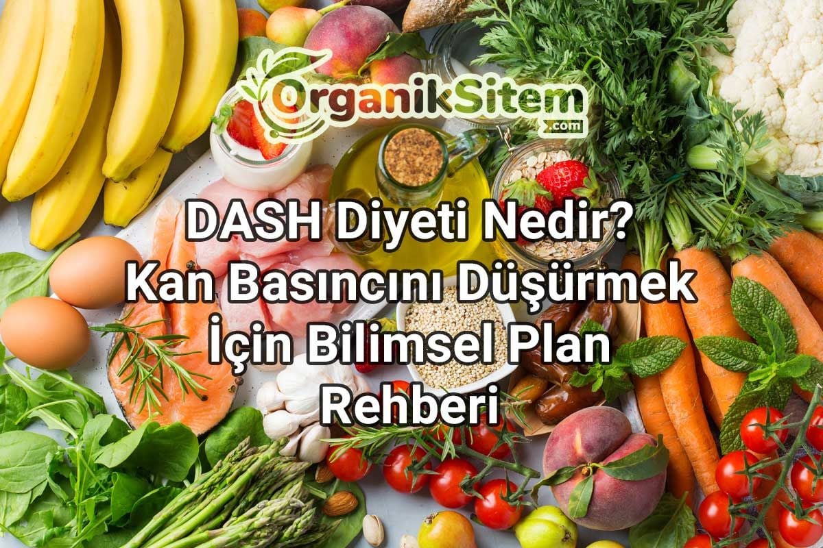 DASH Diyeti Nedir? Kan Basıncını Düşürmek İçin Bilimsel Plan Rehberi