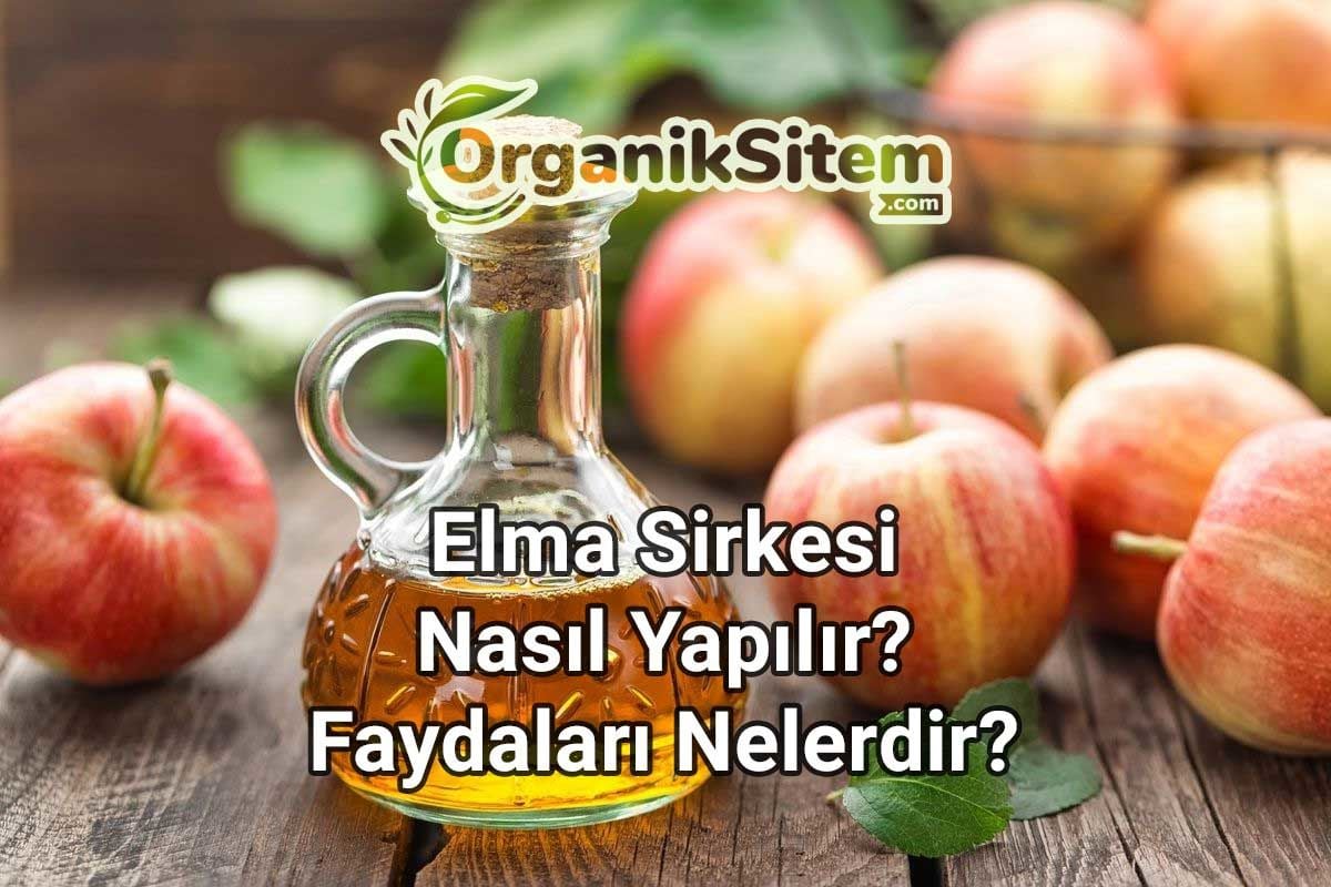 Elma Sirkesi Nasıl Yapılır? Faydaları Nelerdir?