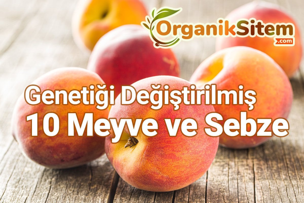 Genetiği Değiştirilmiş 10 Meyve ve Sebze