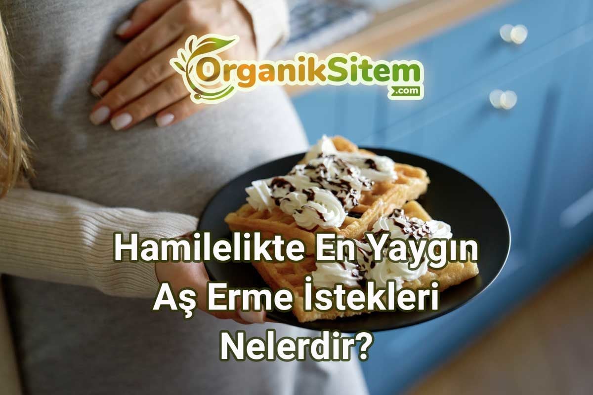 Hamilelikte En Yaygın Aş Erme İstekleri Nelerdir?