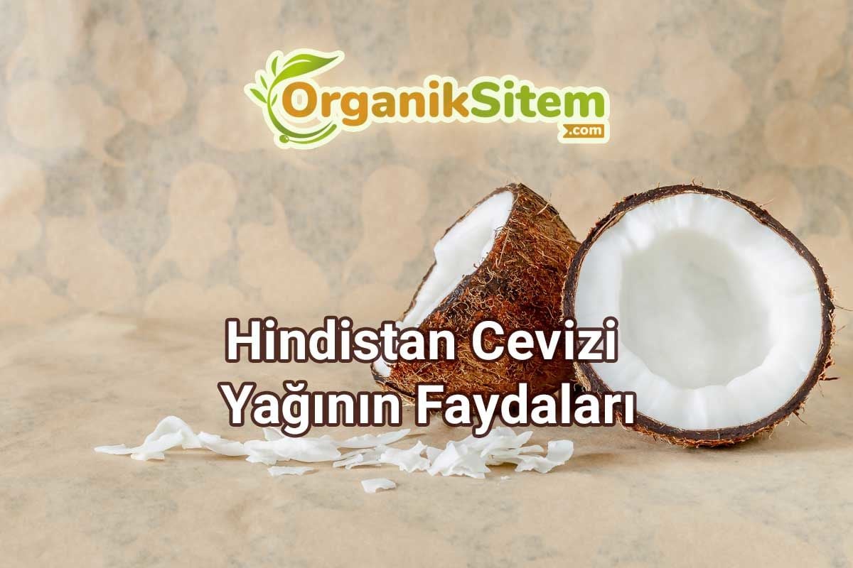 Hindistan Cevizi Yağının Faydaları