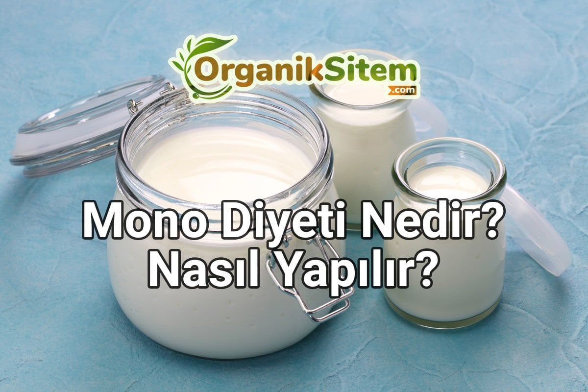 Mono Diyeti Nedir? Nasıl Yapılır?