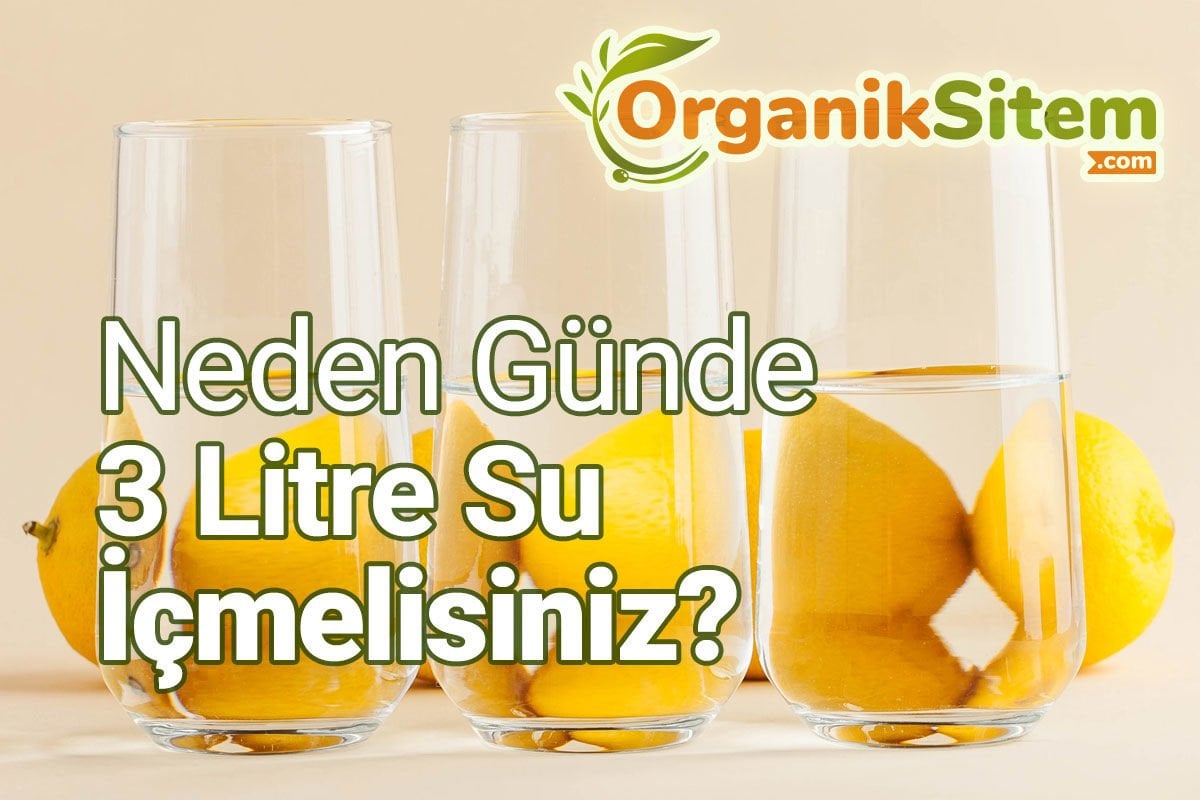 Neden Günde 3 Litre Su İçmelisiniz?