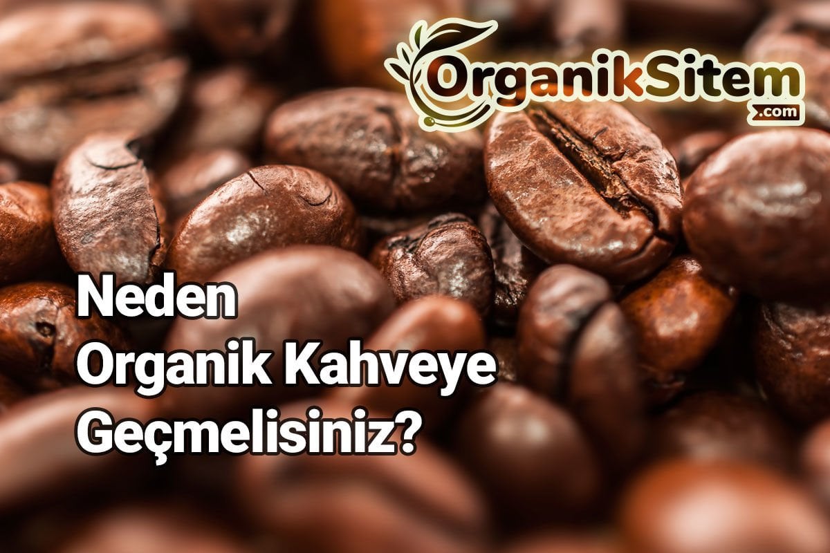 Neden Organik Kahveye Geçmelisiniz?