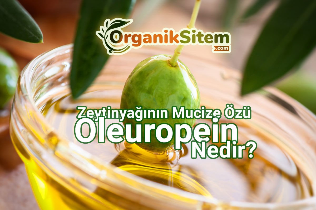 Oleuropein Nedir?