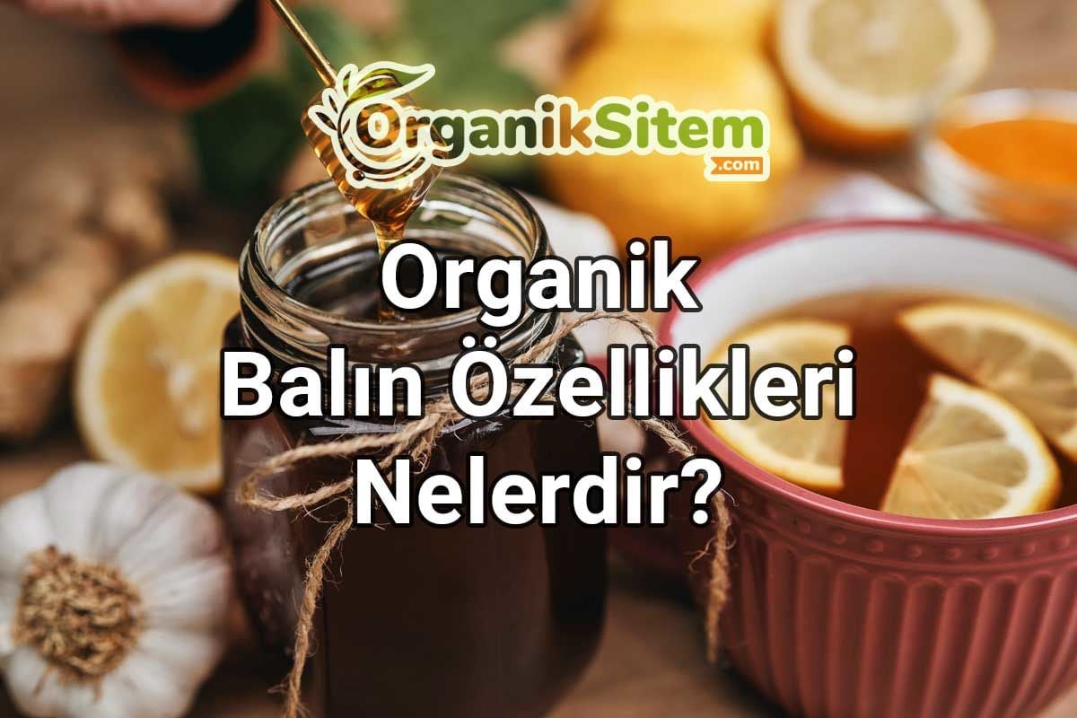 Organik Balın Özellikleri Nelerdir?