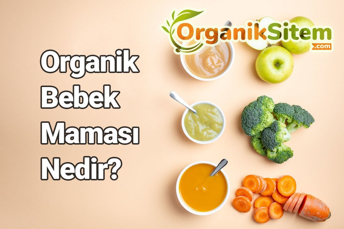 Organik Bebek Maması Nedir?