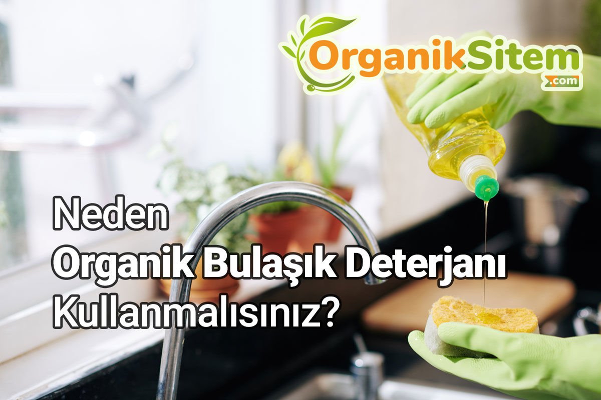 Neden Organik Bulaşık Deterjanı Kullanmalısınız?