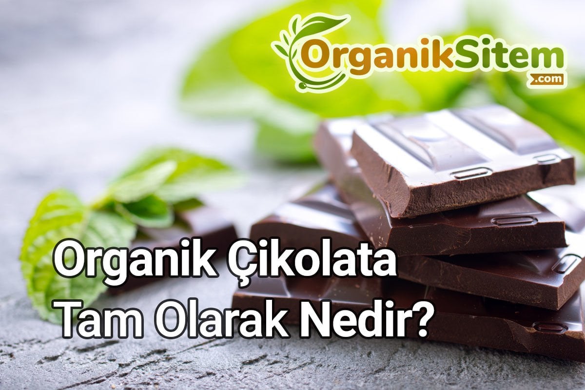 Organik Çikolata Tam Olarak Nedir?