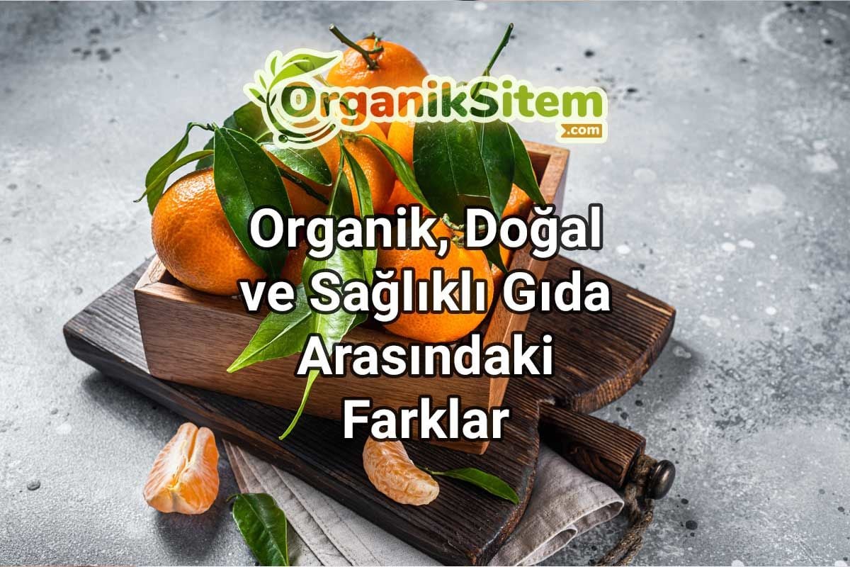 Organik, Doğal ve Sağlıklı Gıda Arasındaki Farklar
