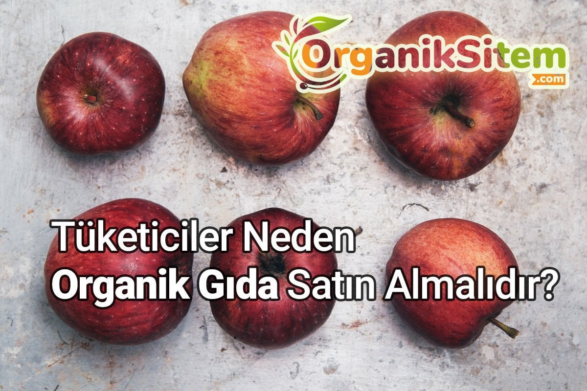 Tüketiciler Neden Organik Gıda Satın Almalıdır?