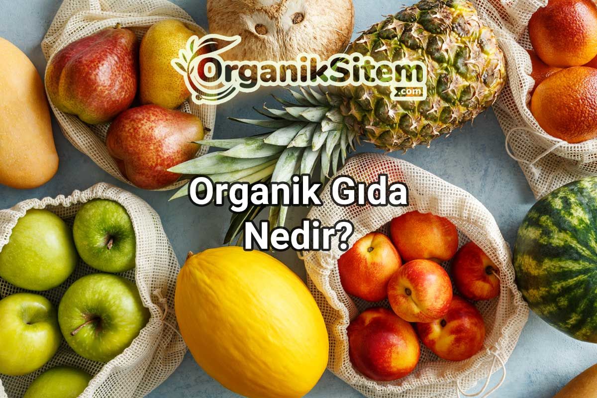 Organik Gıda Nedir?