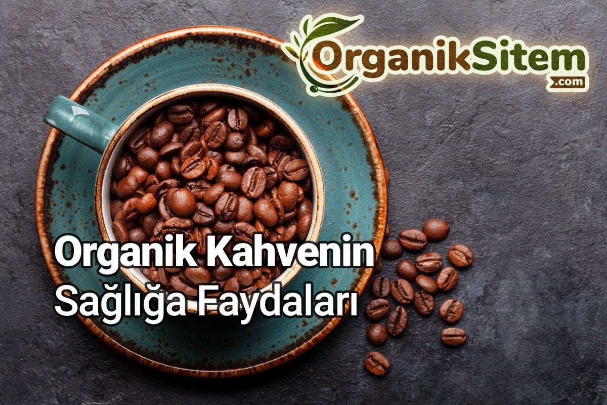 Organik Kahvenin Sağlığa Faydaları