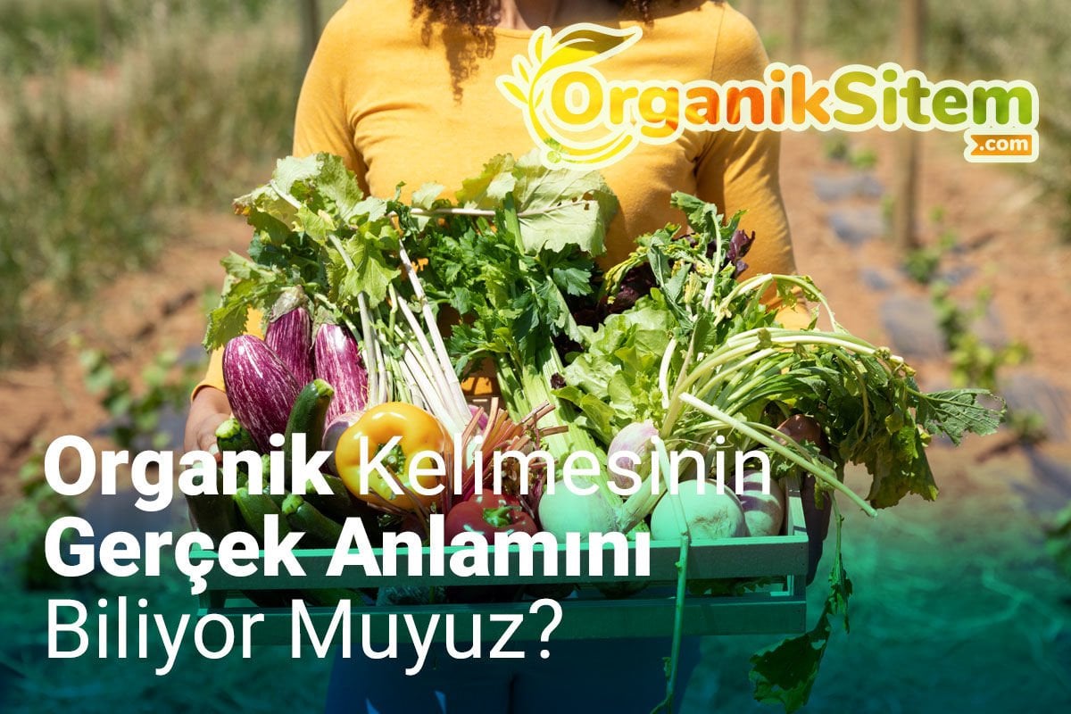 Organik Kelimesinin Gerçek Anlamını Biliyor Muyuz?