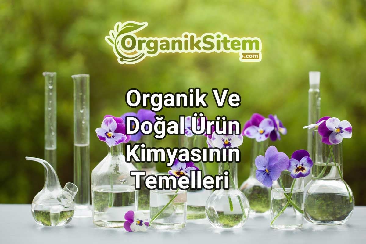 Organik Ve Doğal Ürün Kimyasının Temelleri