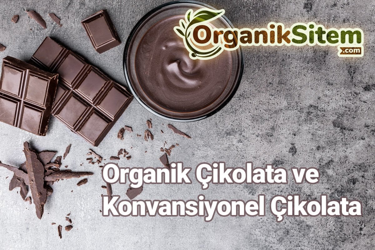 Organik Çikolata ve Konvansiyonel Çikolata
