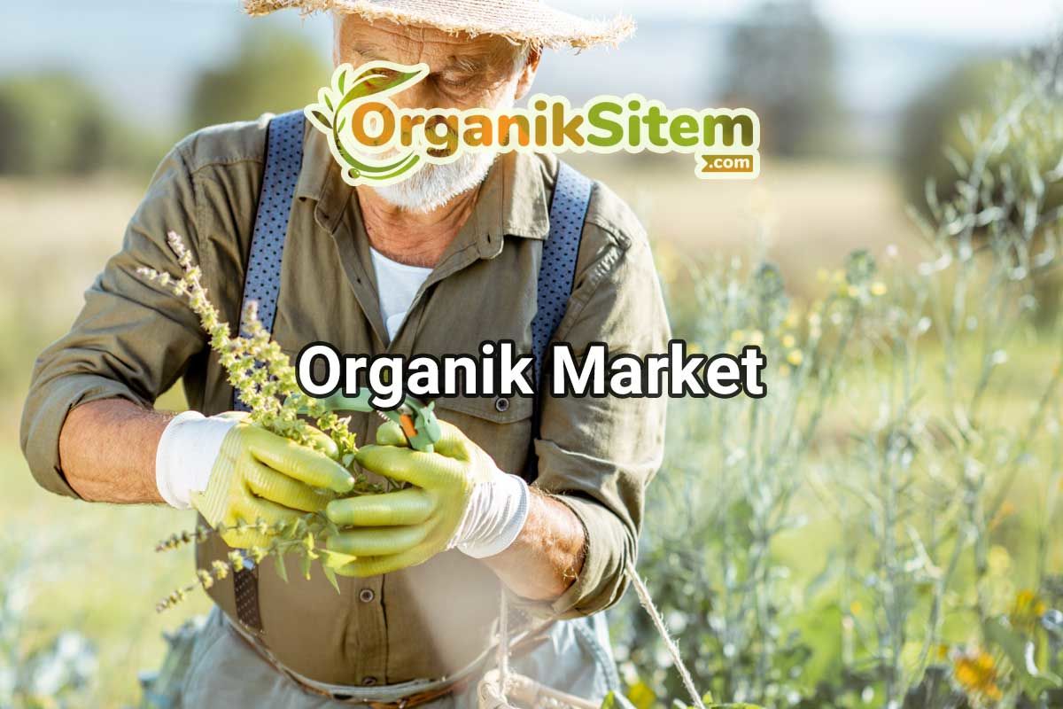 Organik Market