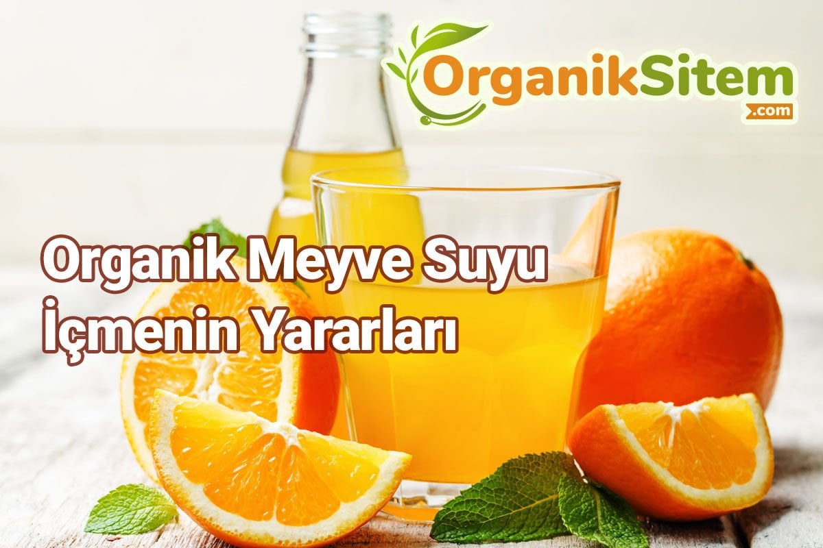 Organik Meyve Suyu İçmenin Yararları