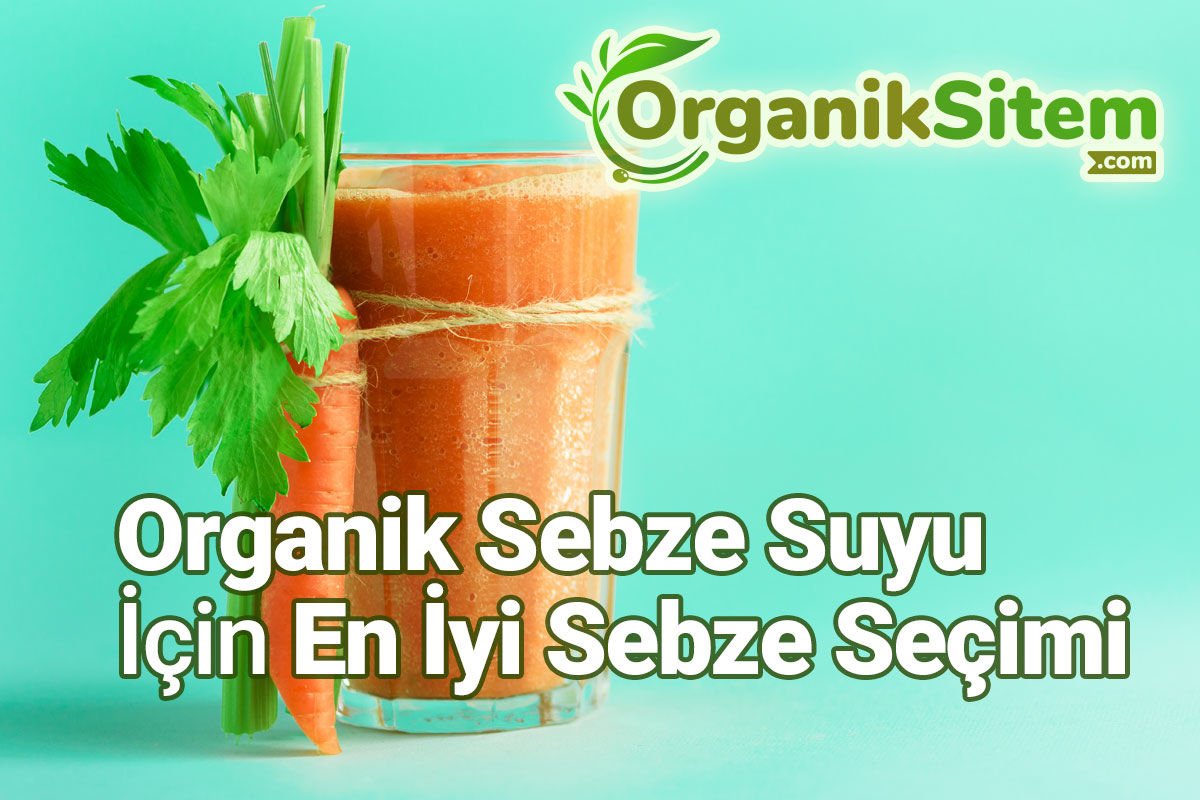 Organik Sebze Suyu İçin En İyi Sebze Seçimi