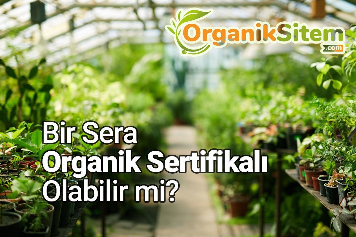 Bir Sera Organik Sertifikalı Olabilir mi?