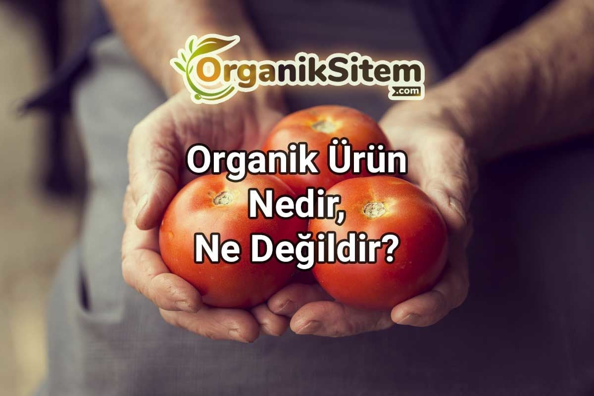 Organik Ürün Nedir Ne Değildir?