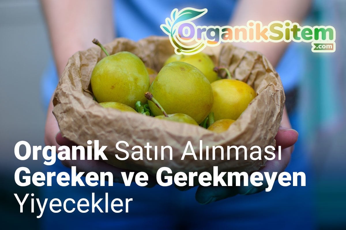 Organik Satın Alınması Gereken ve Gerekmeyen Yiyecekler
