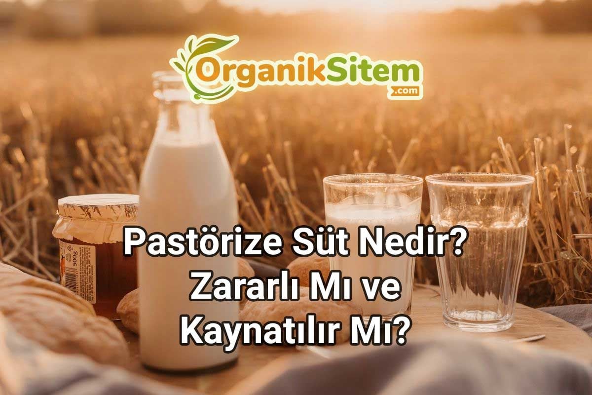 Pastörize Süt Nedir? Zararlı Mı ve Kaynatılır Mı?