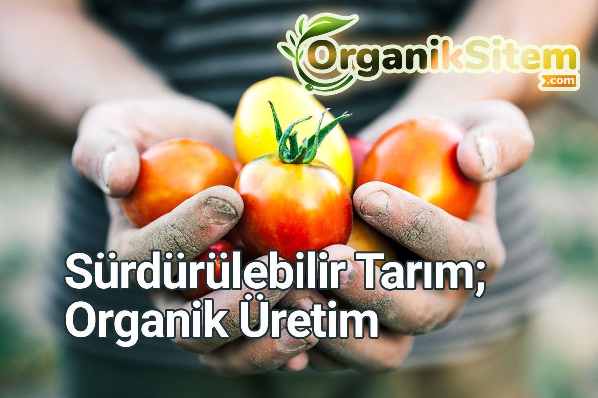 Sürdürülebilir Tarım; Organik Üretim