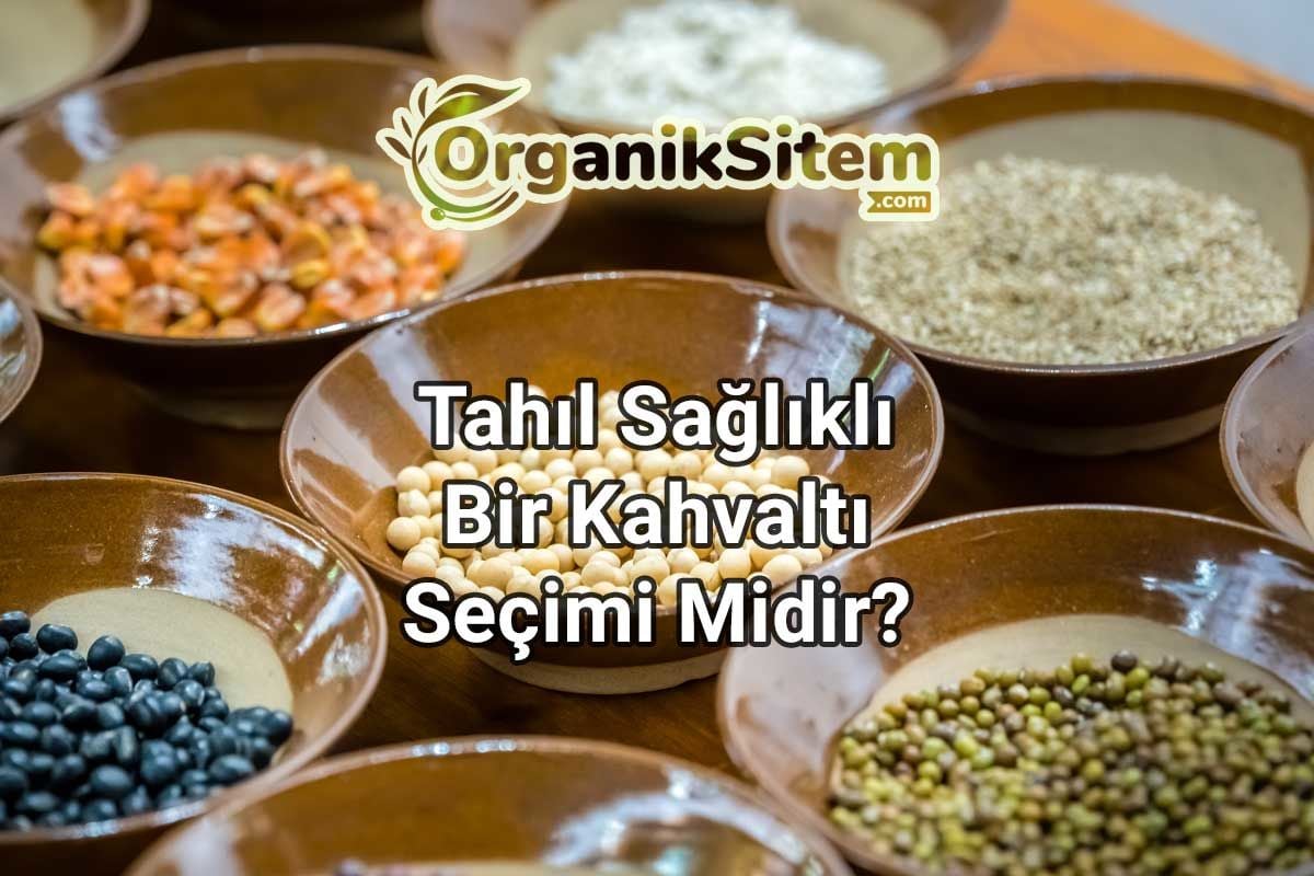 Tahıl Sağlıklı Bir Kahvaltı Seçimi Midir?