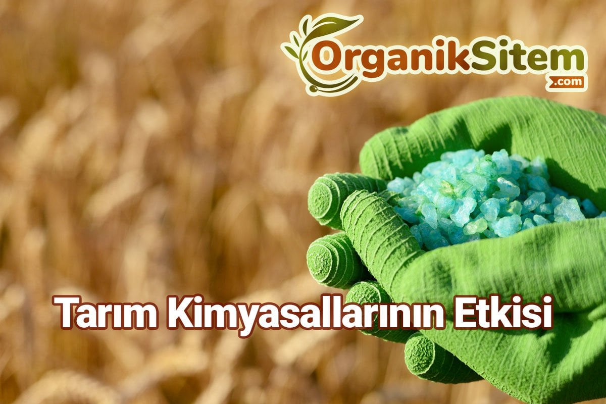 Tarım Kimyasallarının Etkisi