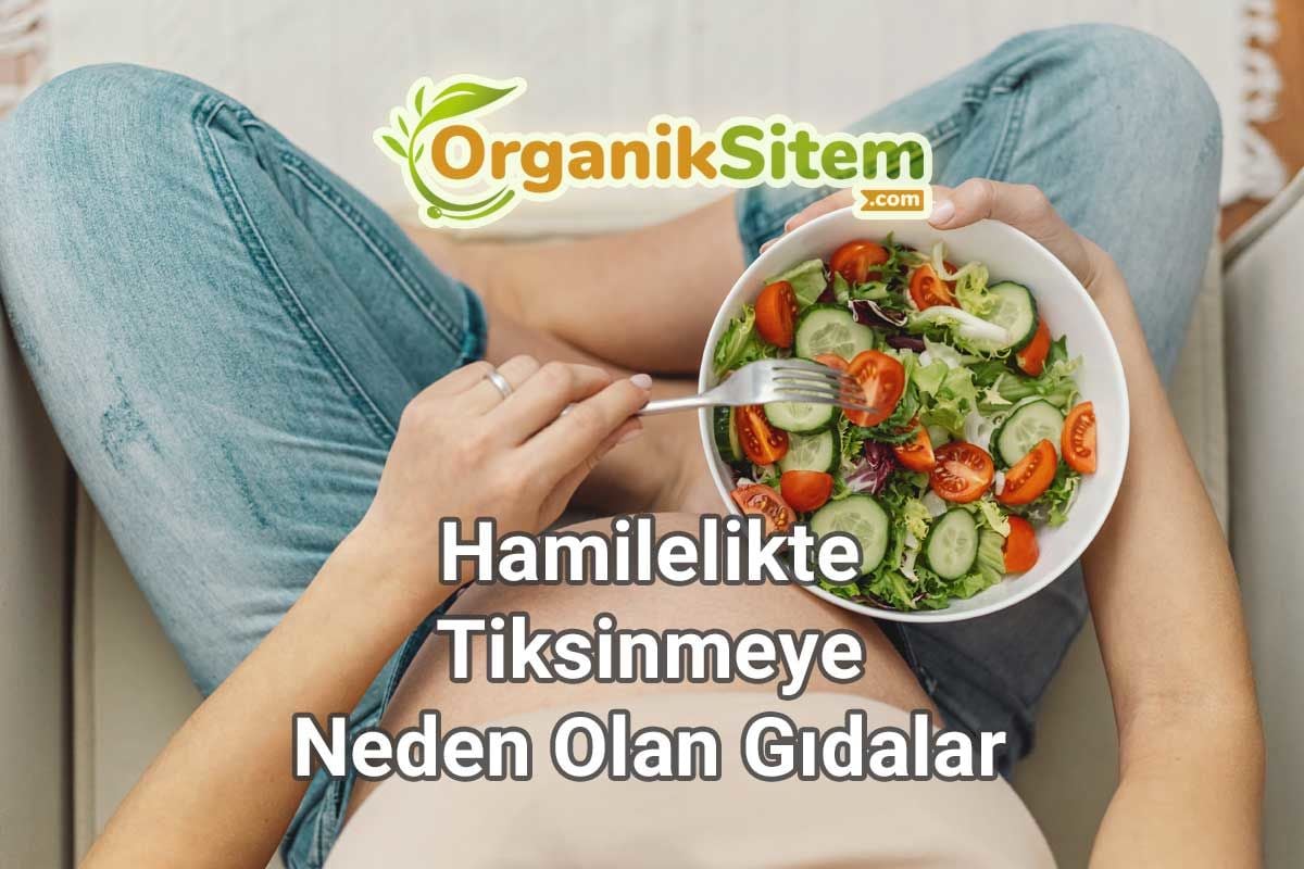 Hamilelikte Tiksinmeye Neden Olan Gıdalar