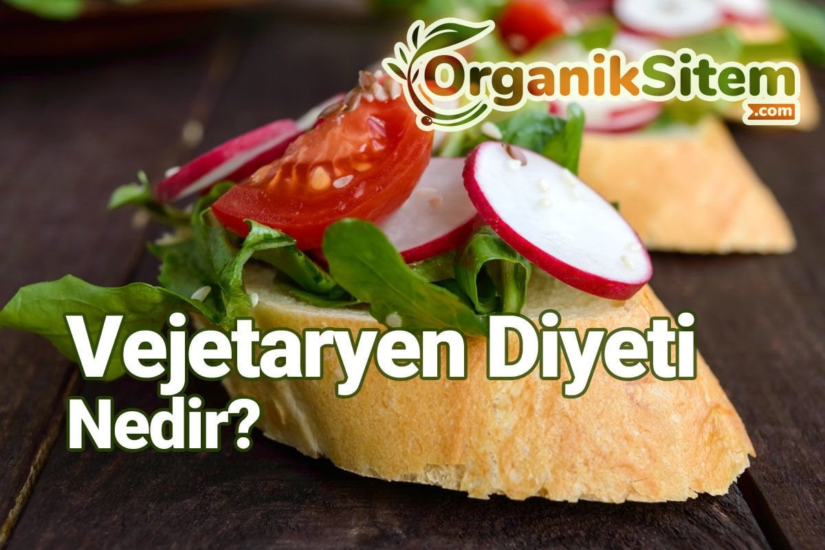 Vejetaryen Diyeti Hakkında Bilinmesi Gerekenler