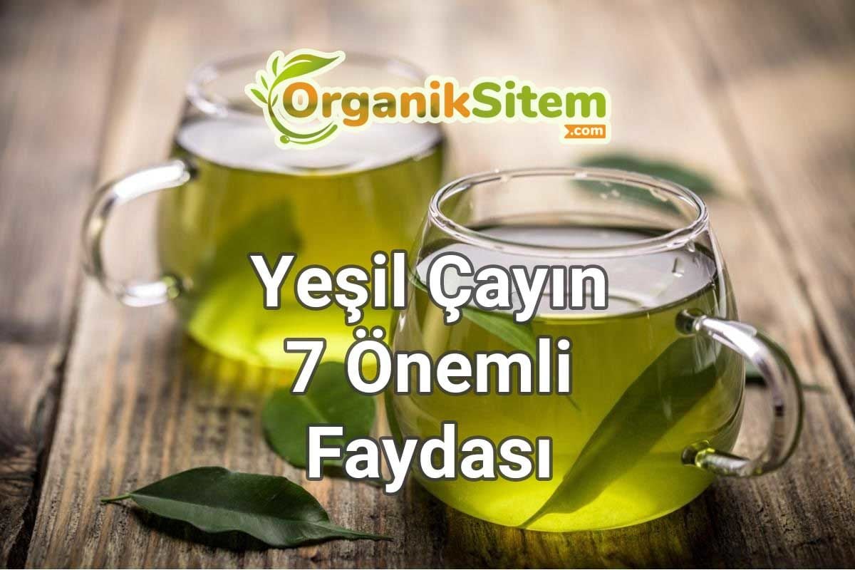 Zayıflamak İsteyenlerin Vazgeçilmezi Olan Yeşil Çayın 7 Önemli Faydası