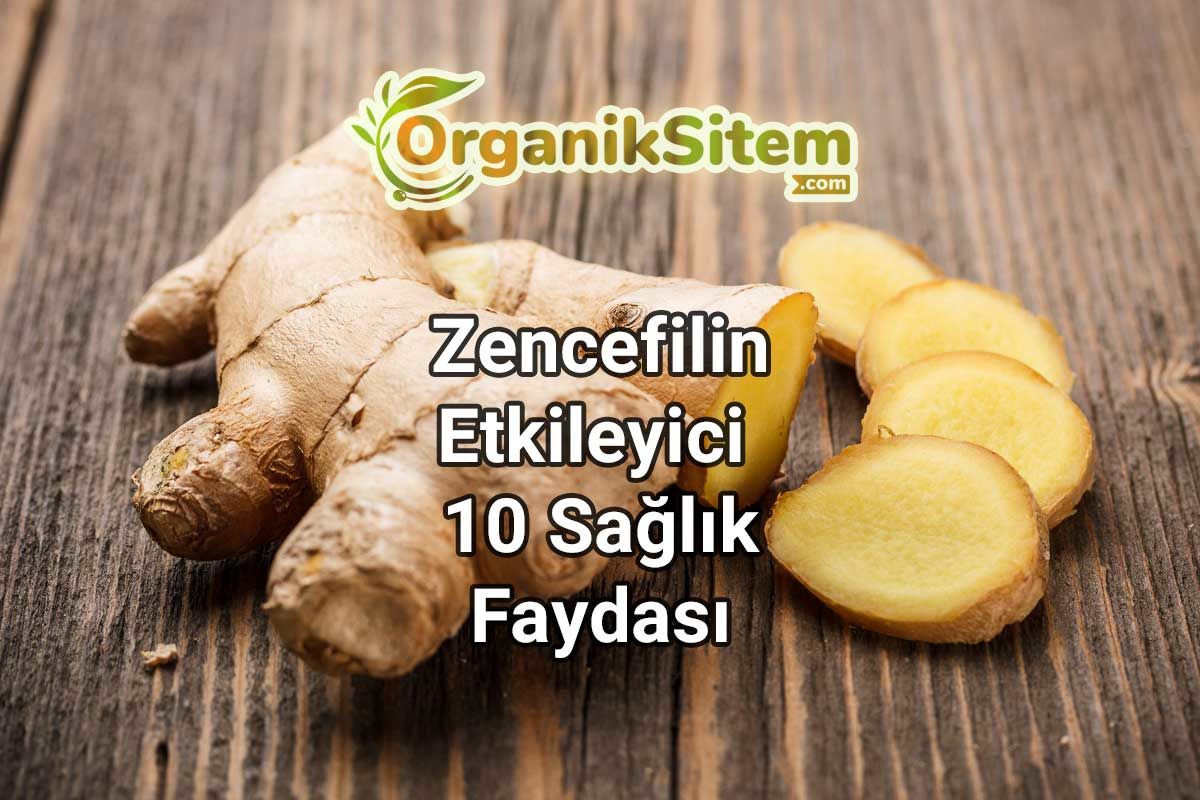 Zencefilin Etkileyici 10 Sağlık Faydası