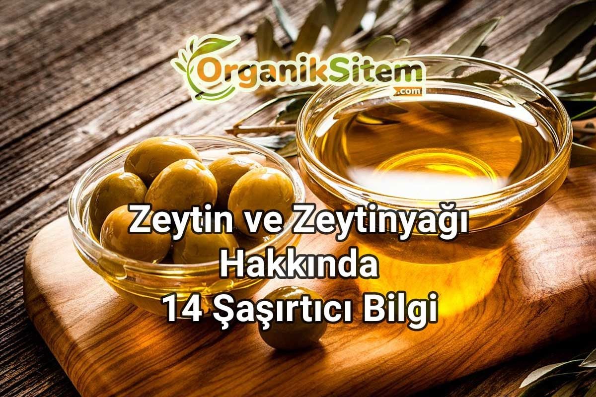 Sağlığa Faydaları ile Bilinen Zeytin ve Zeytinyağı Hakkında 14 Şaşırtıcı Bilgi