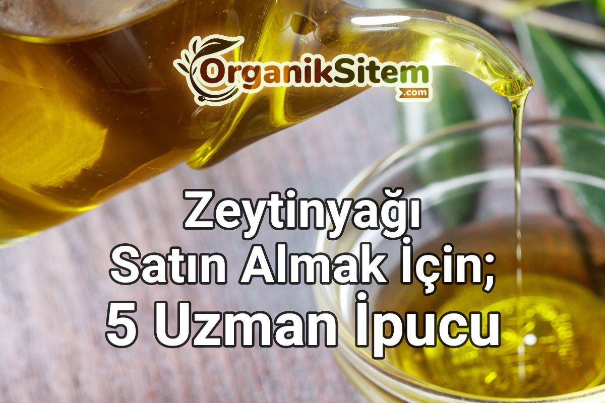 Zeytinyağı Satın Almak İçin 5 Uzman İpucu