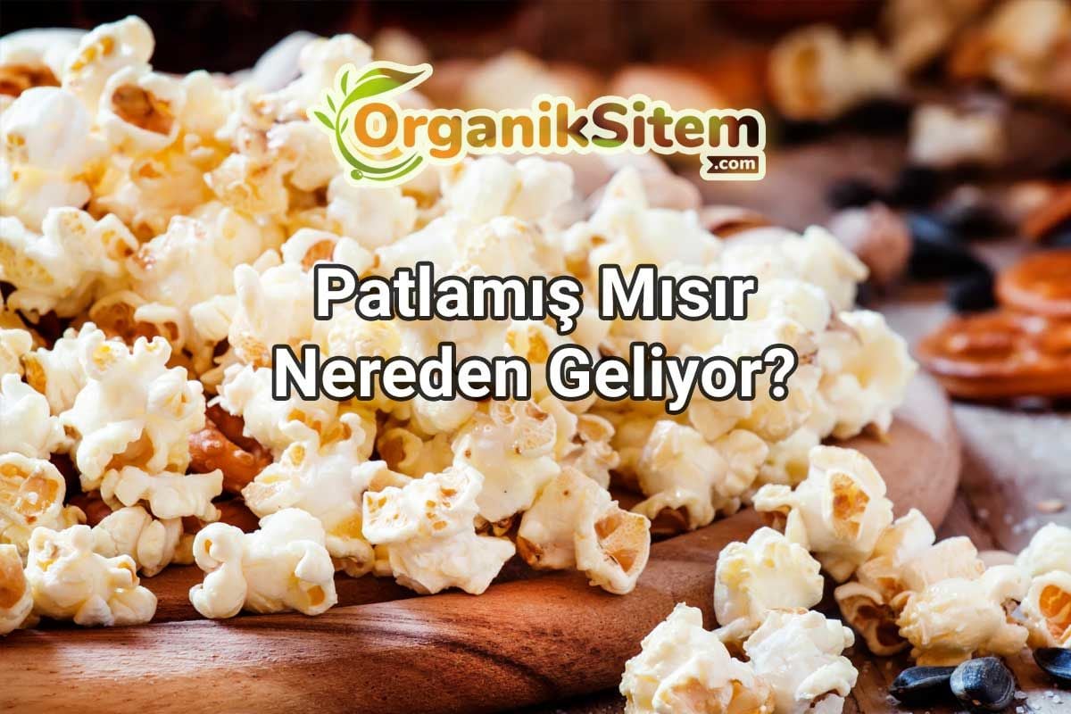 Patlamış Mısır Nereden Geliyor?