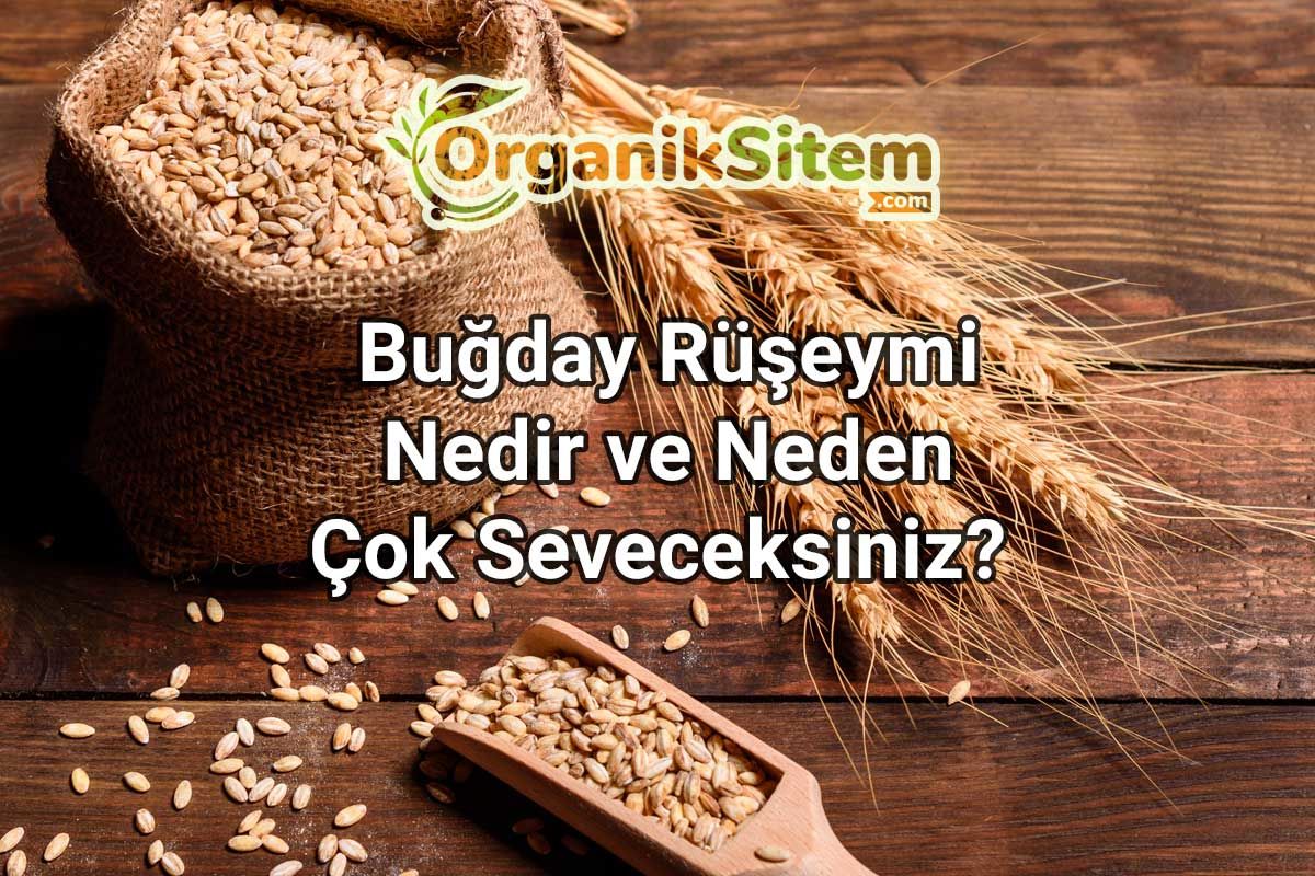 Buğday Rüşeymi Nedir ve Neden Çok Seveceksiniz?