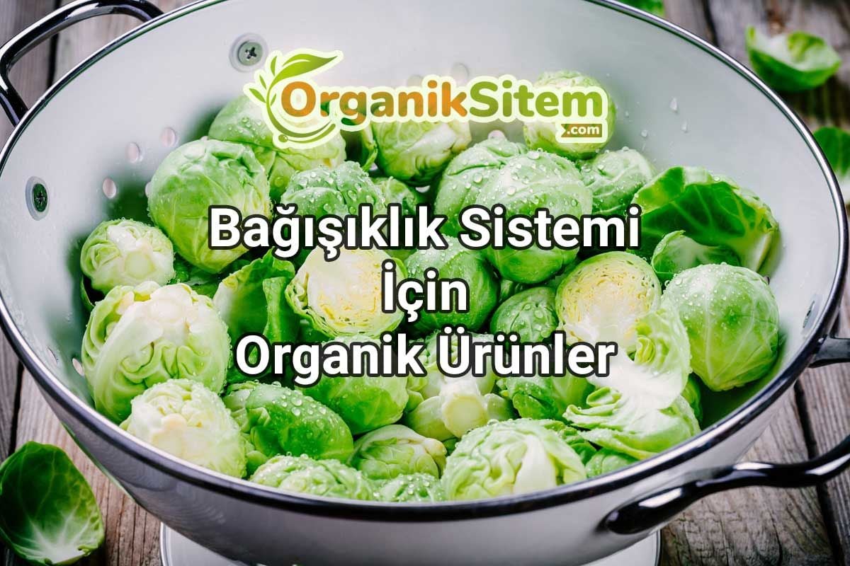 Bağışıklık Sistemi İçin Organik Ürünler